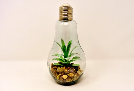 Arrangement lamp decoration