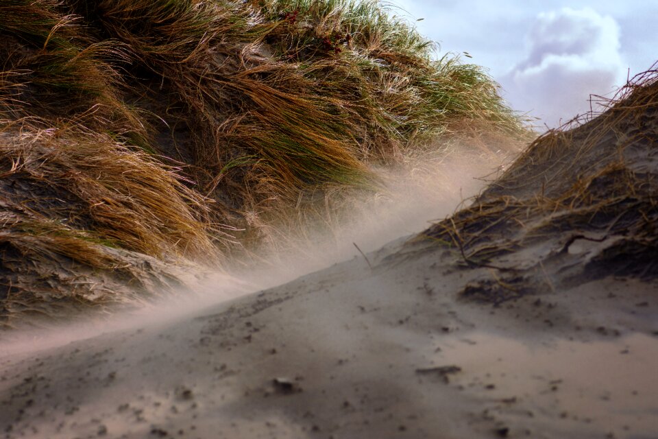 Forward wind vacations