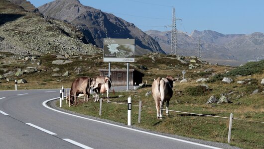 Pasture mountains landscape