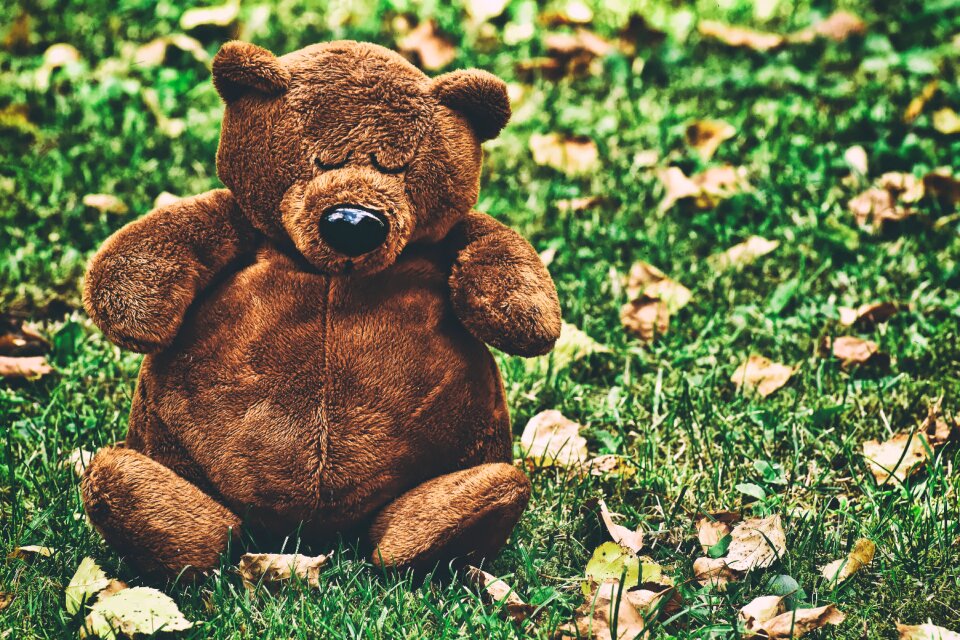 Soft toy teddy bear plush photo