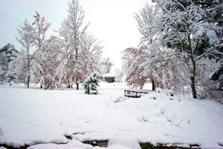 Cold winter snow