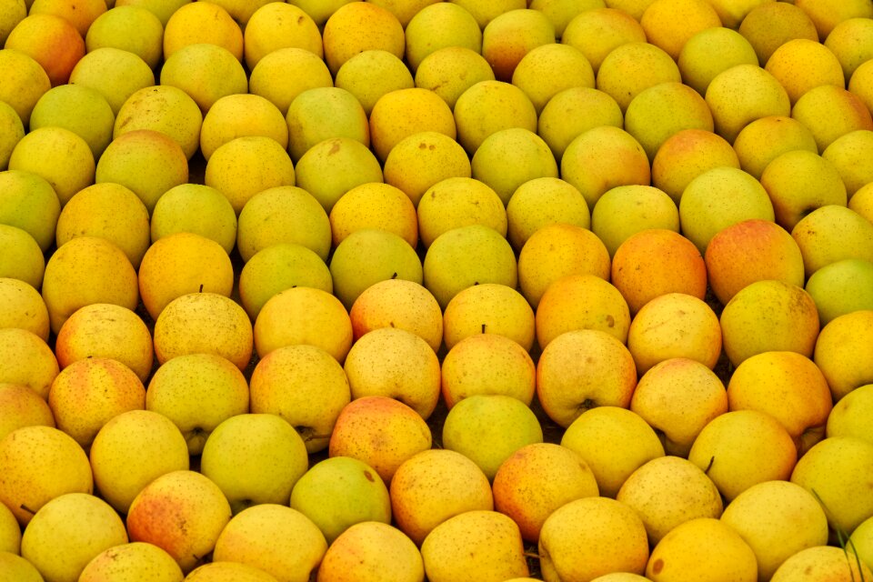 Fruit healthy autumn