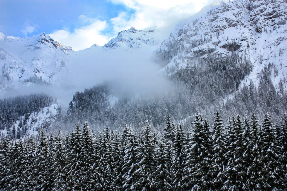 Landscape winter snow covered trees
