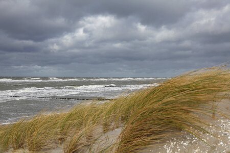 Dunes baltic sea wave photo