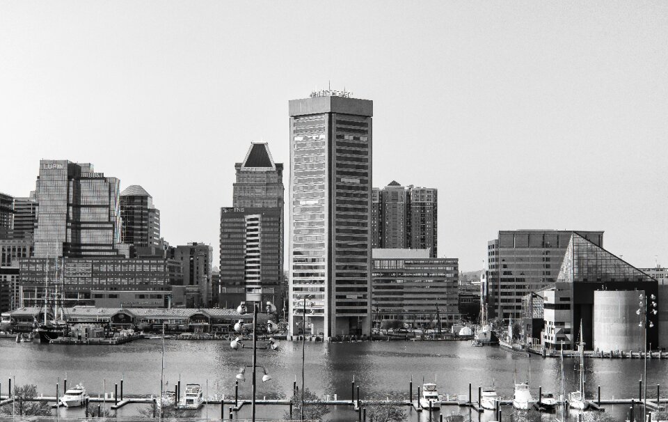 Skyline cityscape baltimore