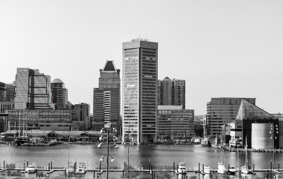 Skyline cityscape baltimore photo