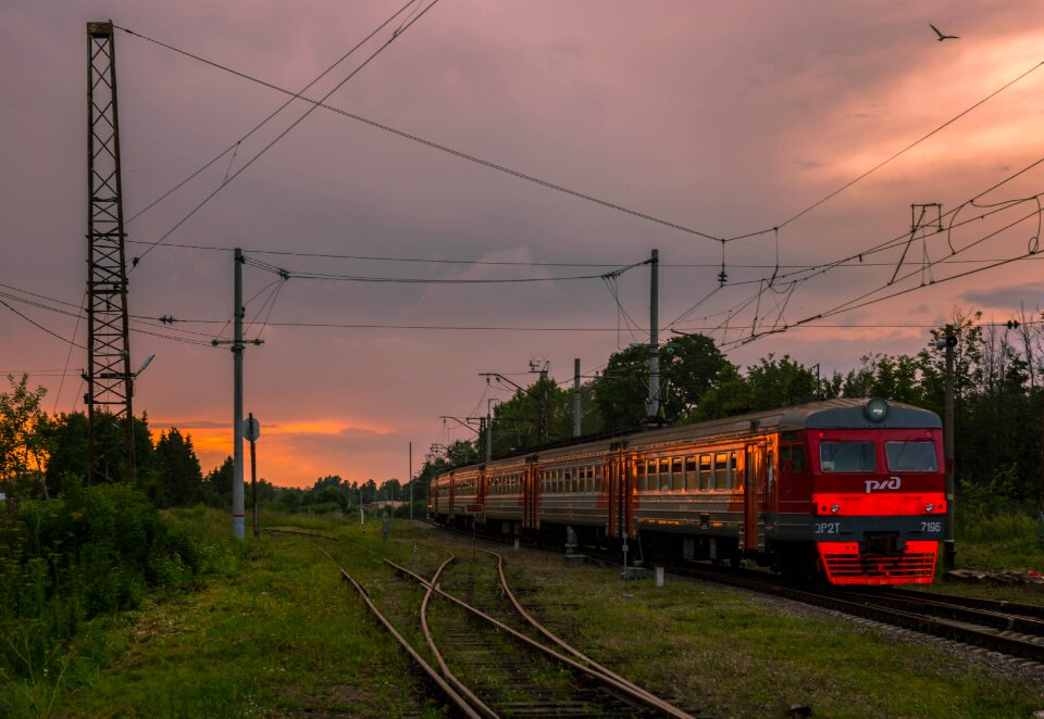 Summer russia gatchina