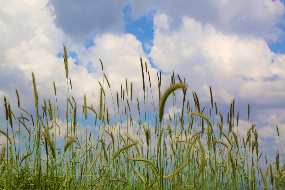 Sky clouds spring