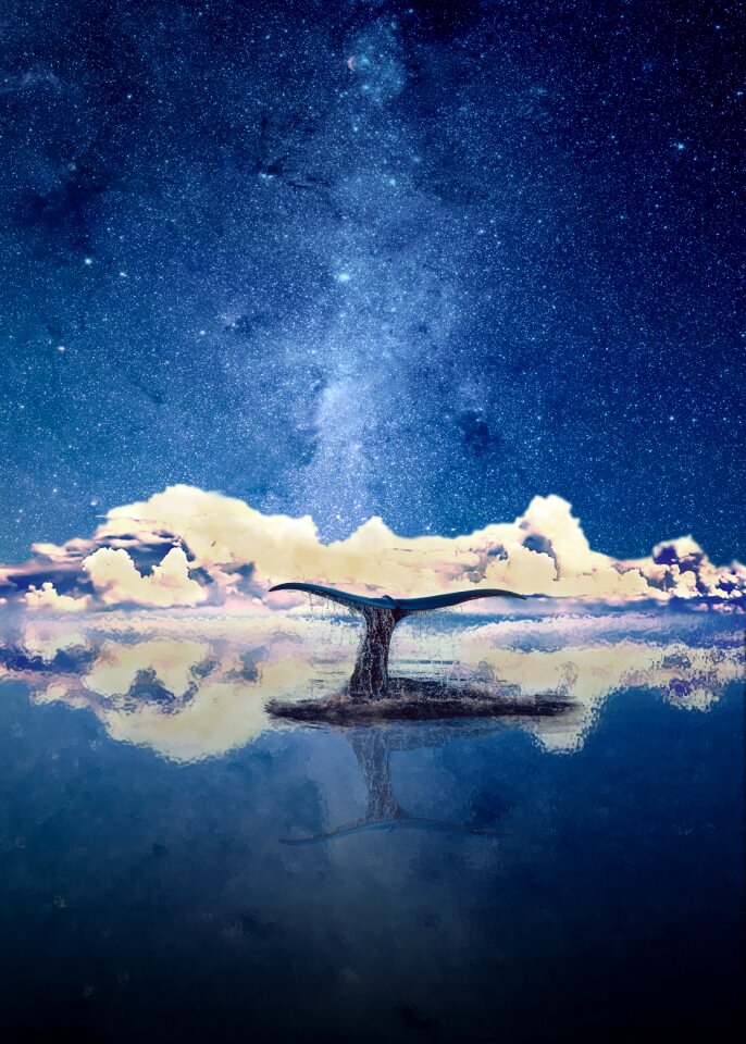 Star blue evening sky