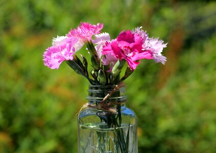 A small bunch mother's day spring