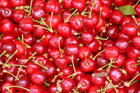 Eating nature fresh