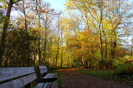 Mood fall colors fall foliage