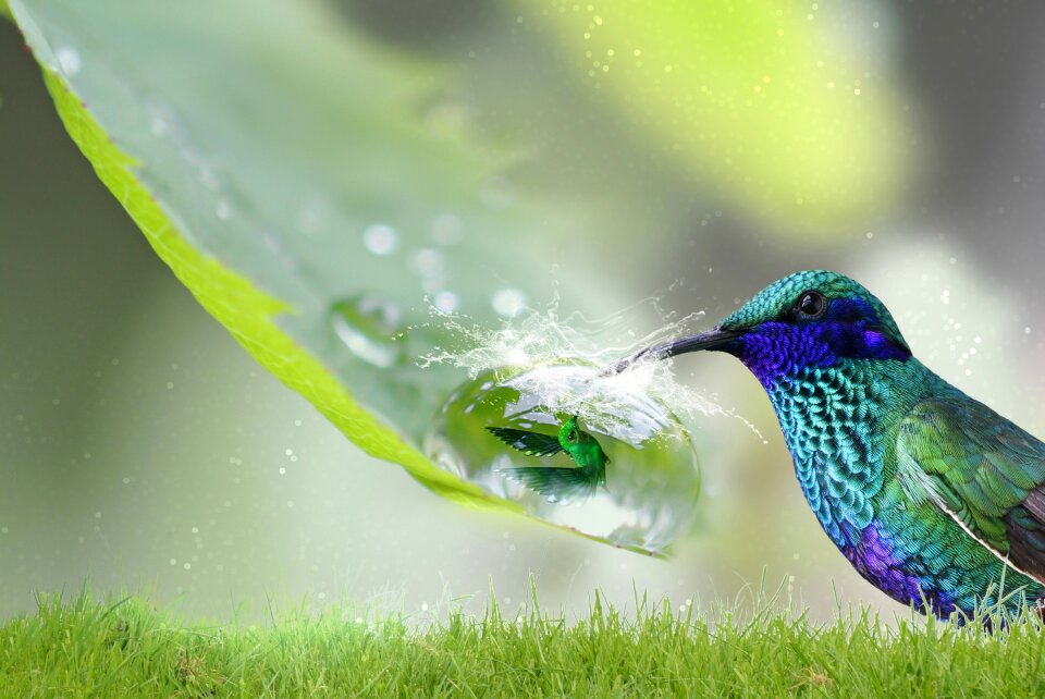 Drop of water help caught