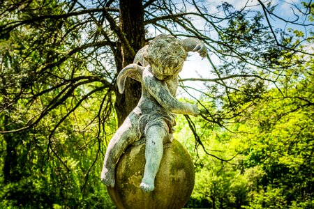Angel old new jersey botanical garden
