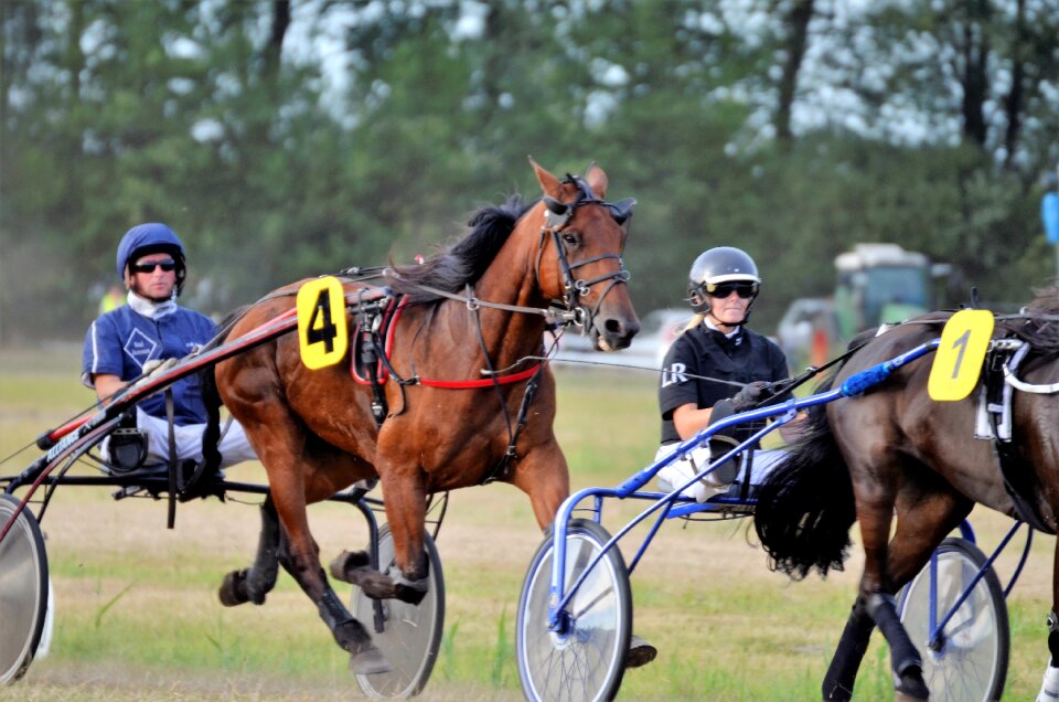Racing traber jockey