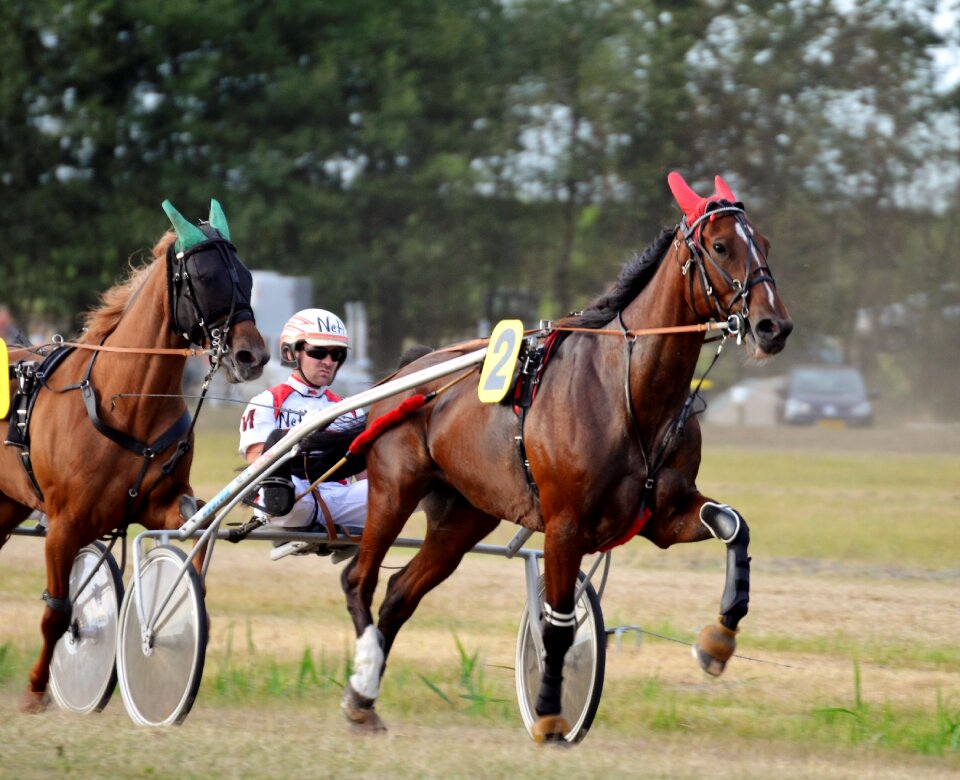 Racing traber jockey