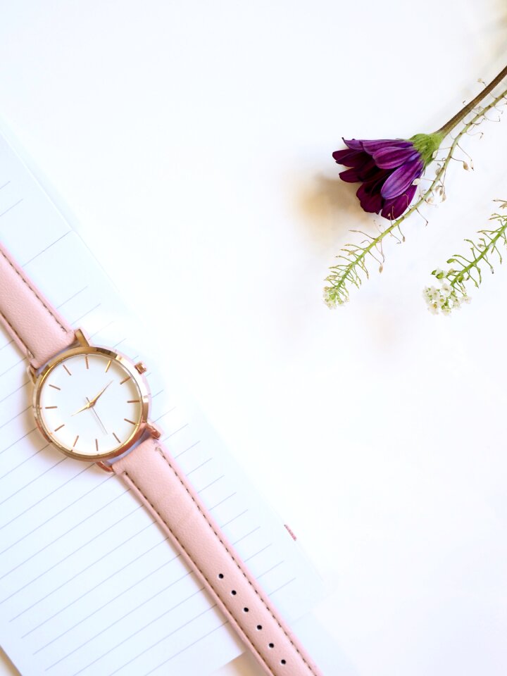 Business feminine pink