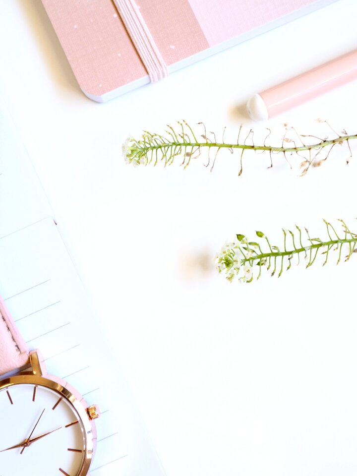 Business feminine pink