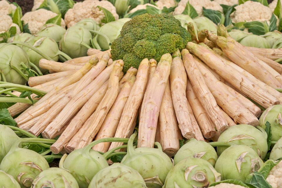 Eat healthy harvest