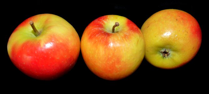 Food healthy organic