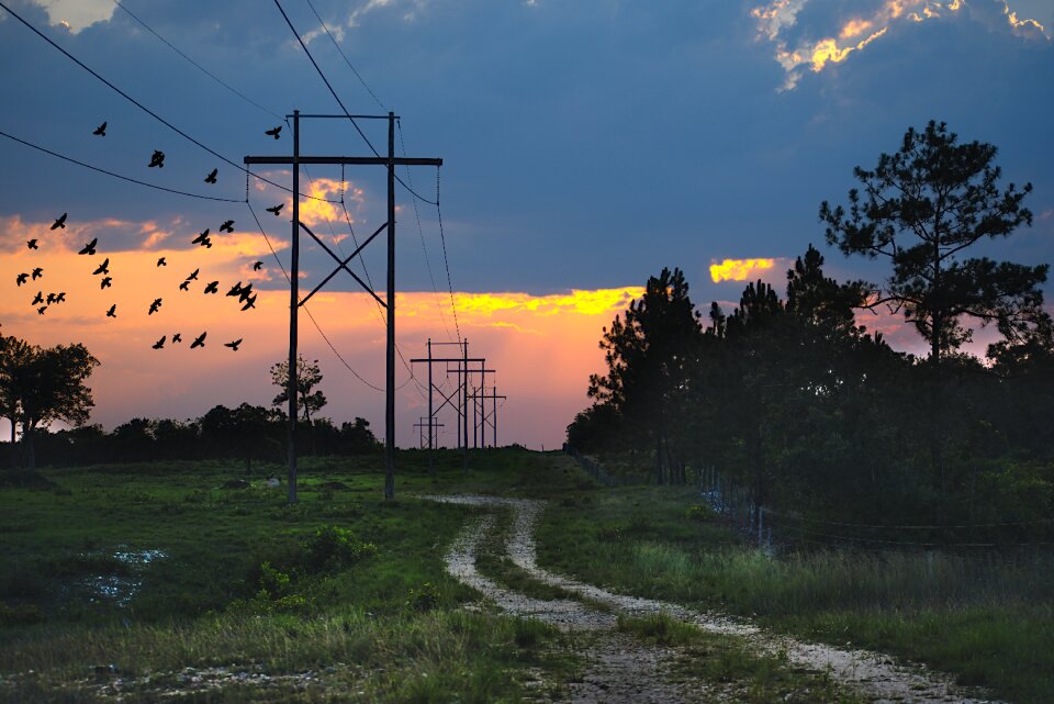 Belize dusk back road