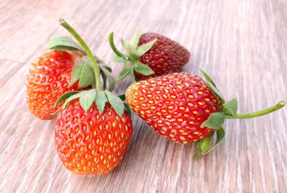 Juicy red still life