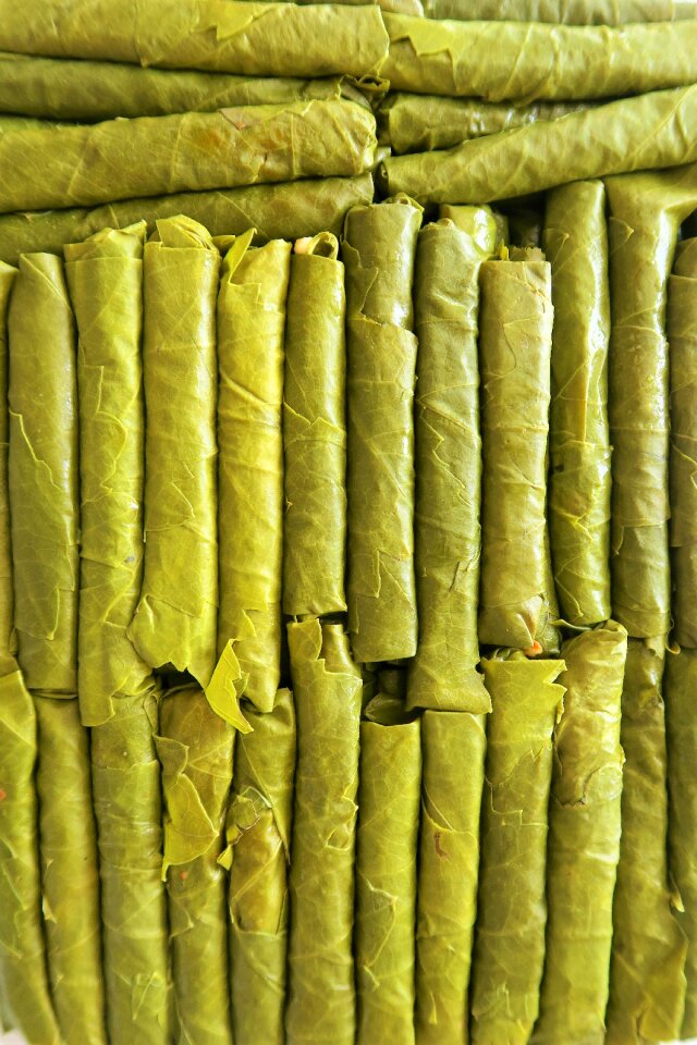 Grape leaf wrap grape leaf rolls