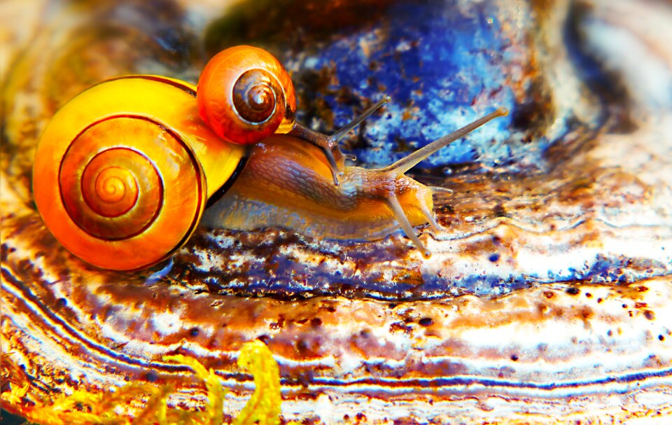 Hub autumn seasons of the year