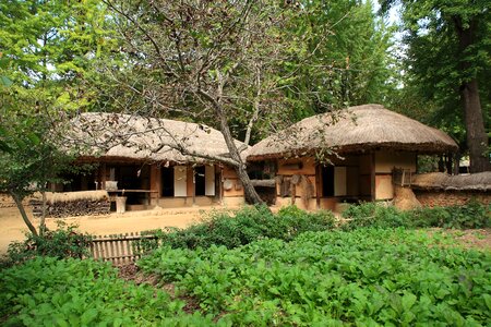 Folk thatched roof traditional building