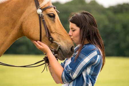 Kiss friendship animal photo