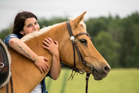 Human arabs palomino photo