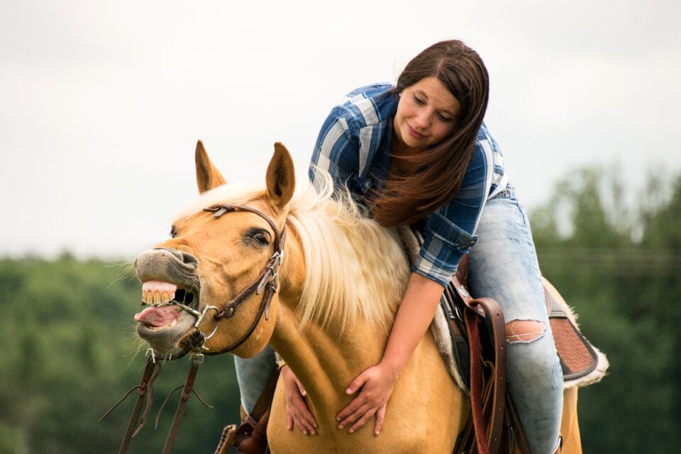 Ride animal arabs