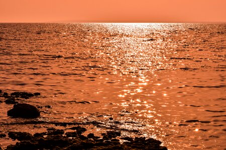 Nature beach sunlight
