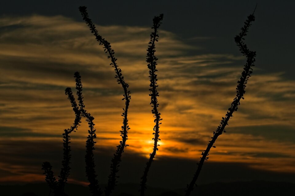 New mexico twilight