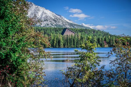 Water trees landscape photo