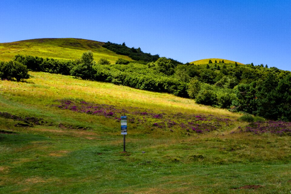 Landscape countryside nature