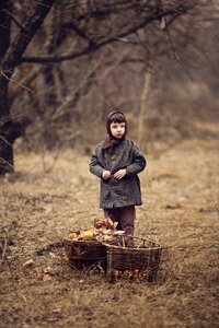 Autumn apple orchard wartime