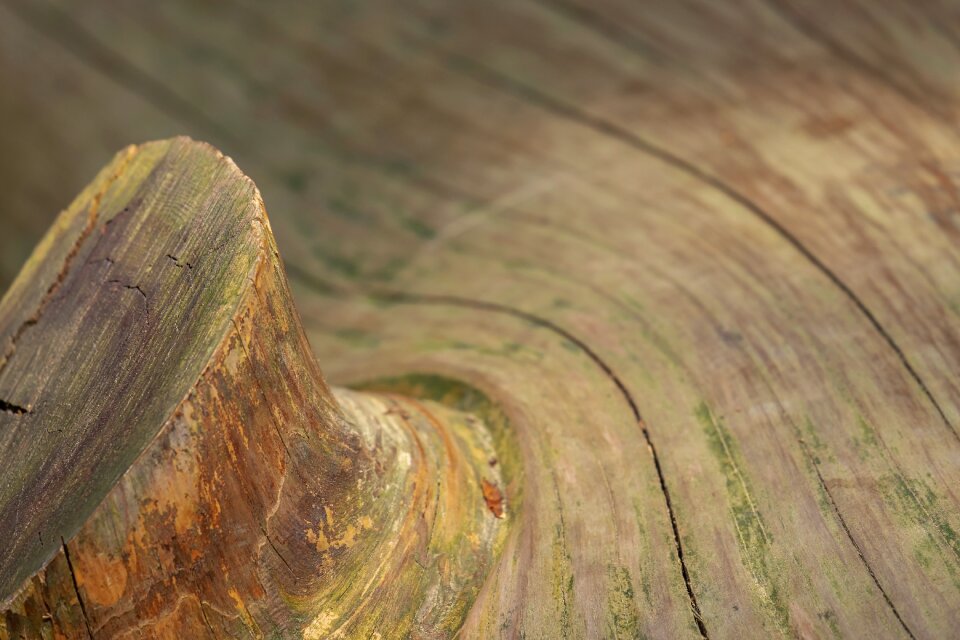 Huge wooden structure texture