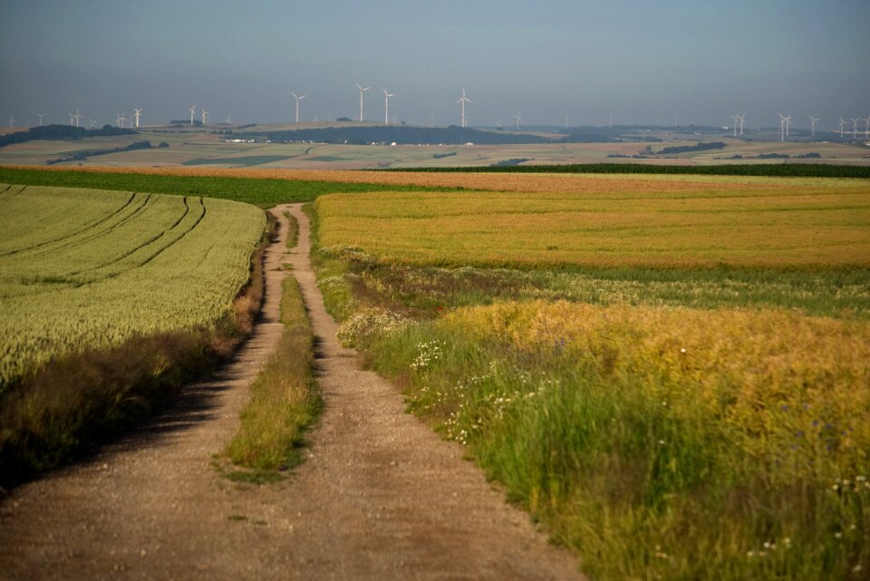 Nature sky path