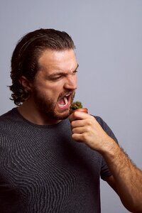Dry unfit for human consumption indigestible
