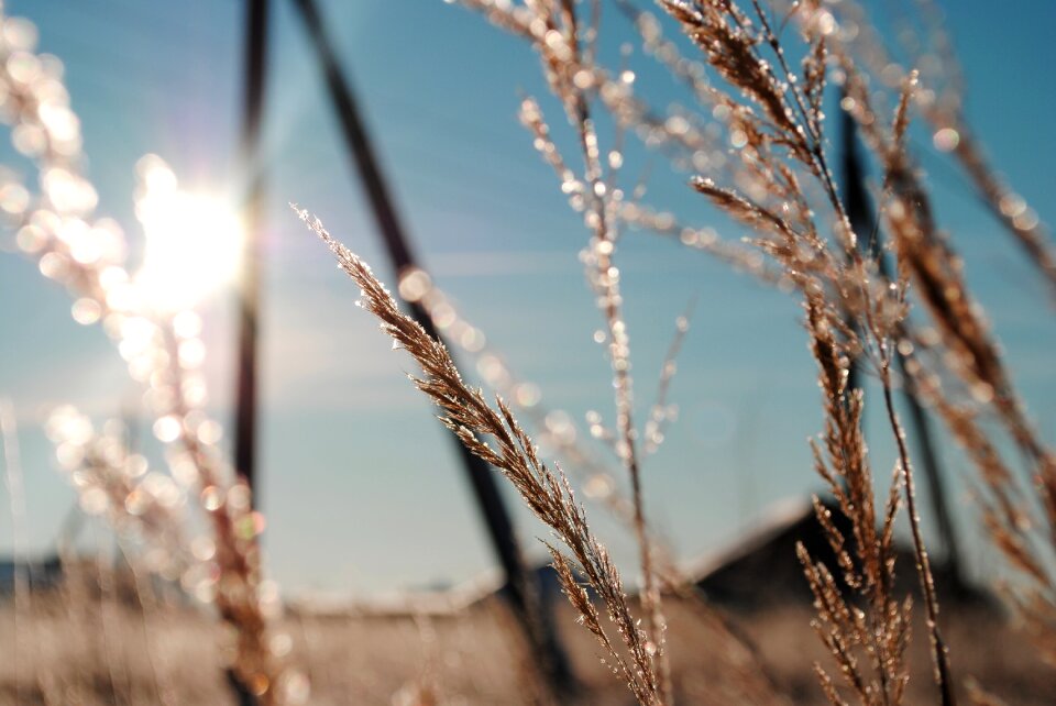 Cold nature sunrise