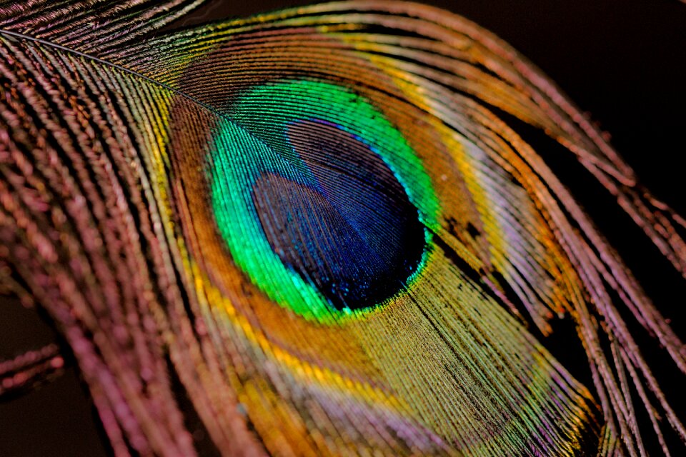 Nature color pattern