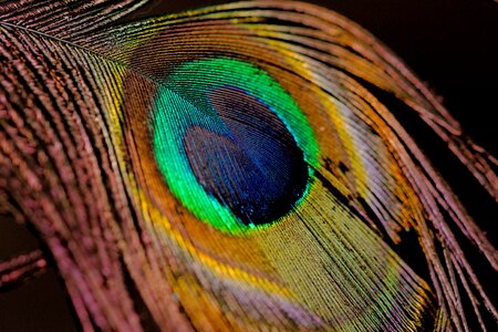 Nature color pattern