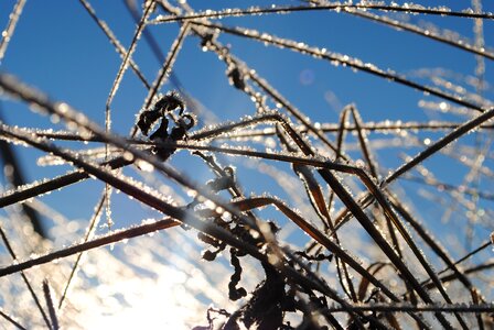 Nature landscape freezing