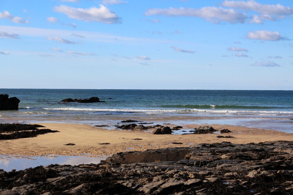 Sand coast nature