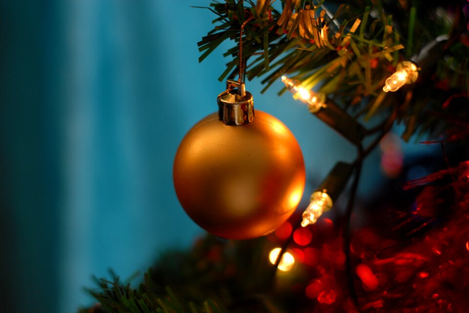 Winter decoration celebration