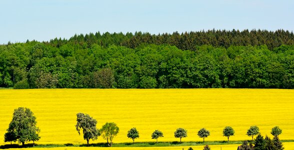 Field agriculture wide