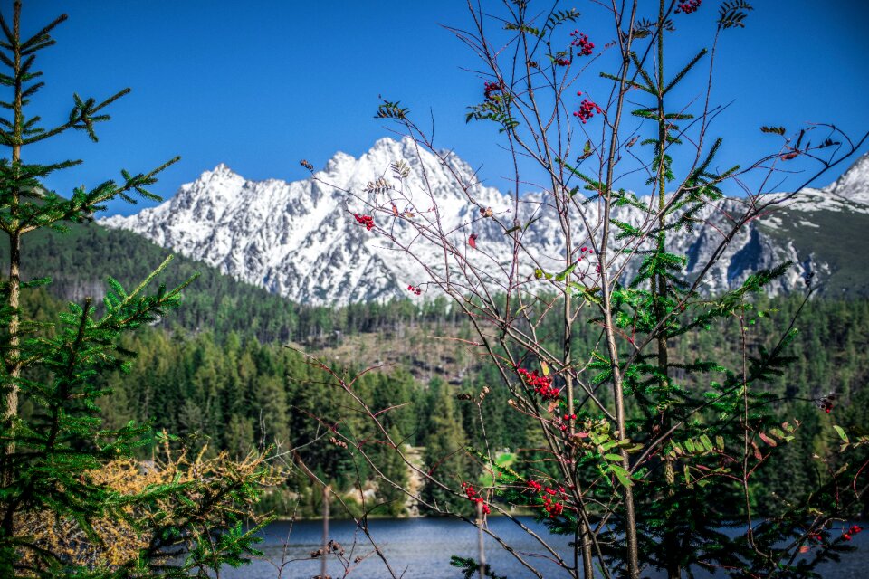 Mountains landscape panorama
