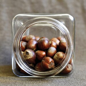 Nut brown nuts healthy snack