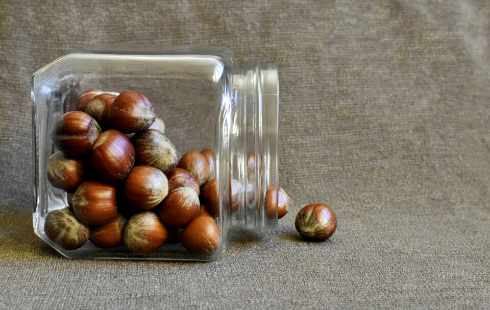 Nutrition snack natural